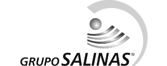 Grupo Salinas